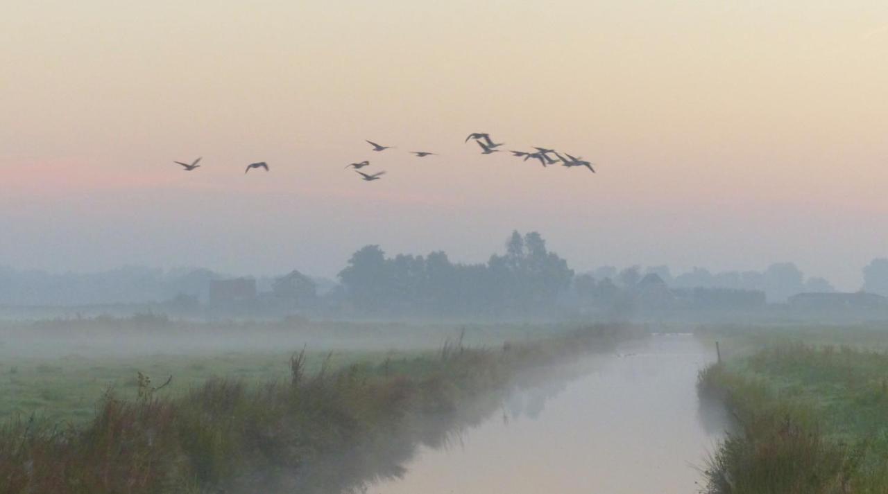 Polderlodge Hillegom Esterno foto