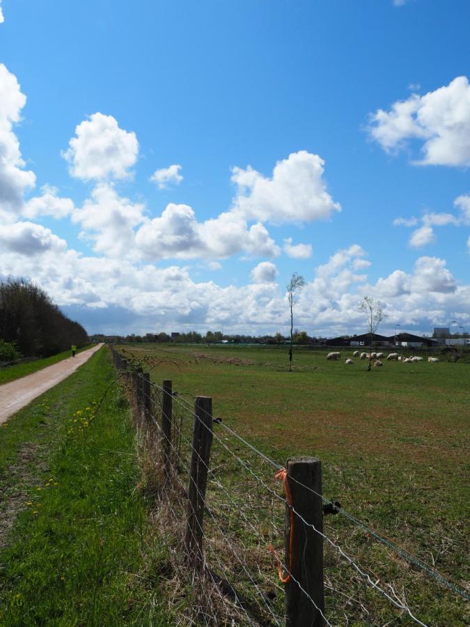 Polderlodge Hillegom Esterno foto